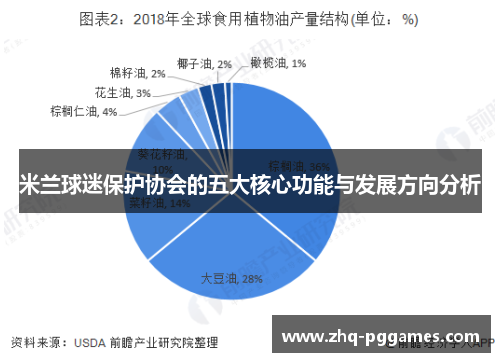 米兰球迷保护协会的五大核心功能与发展方向分析