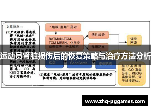 运动员肾脏损伤后的恢复策略与治疗方法分析 运动员肾脏损伤后的恢复策略与治疗方法分析