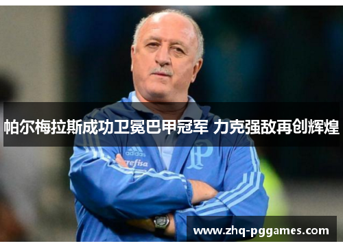 帕尔梅拉斯成功卫冕巴甲冠军 力克强敌再创辉煌 帕尔梅拉斯成功卫冕巴甲冠军 力克强敌再创辉煌