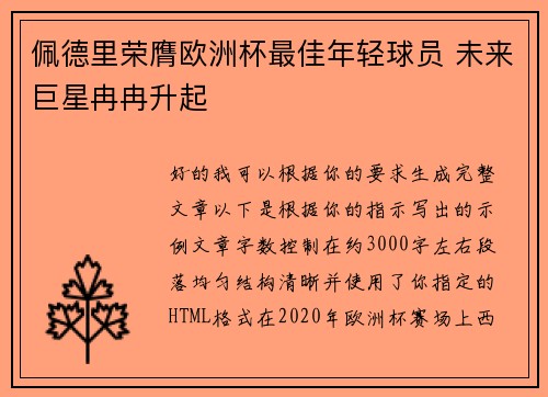 佩德里荣膺欧洲杯最佳年轻球员 未来巨星冉冉升起